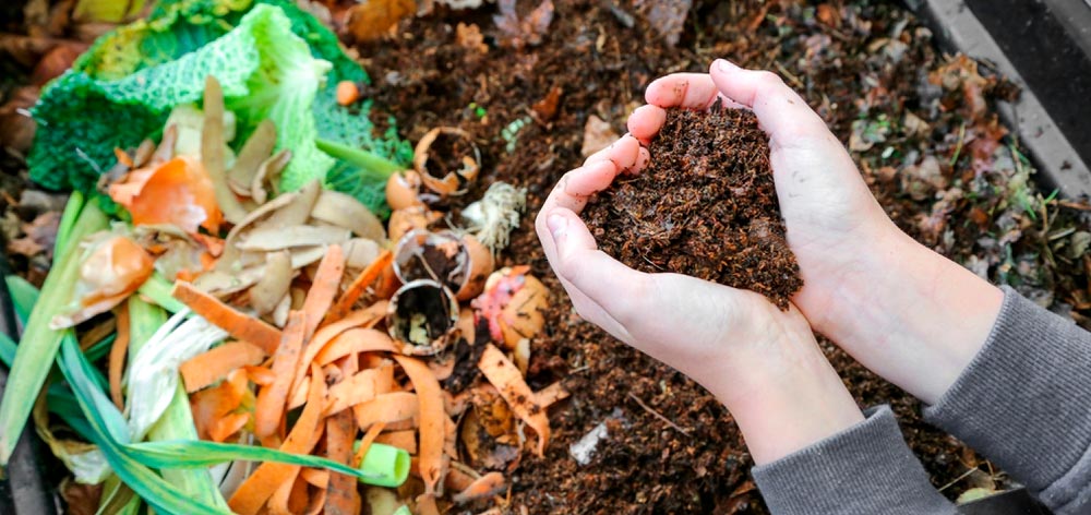 aplicar compost biohuerto casero