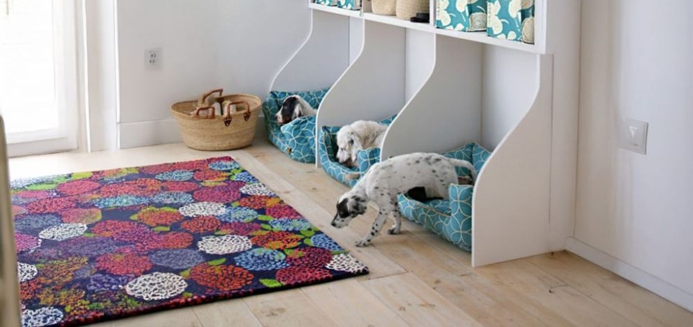 crear zona mascota departamento